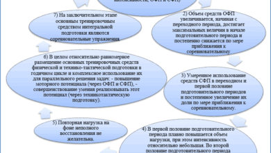 Photo of Физическая база и ключевые принципы подготовки