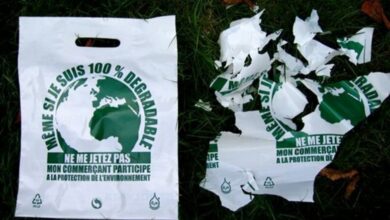 Photo of Преимущества использования биоразлагаемых пакетов