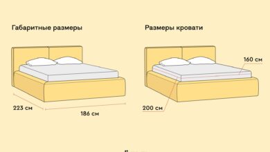 Photo of Выбор оптимального размера кровати для пары