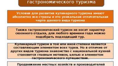 Photo of Особенности гастрономического туризма
