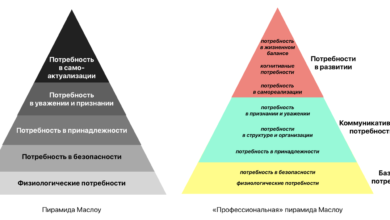 Photo of Анализ конкретных задач и потребностей