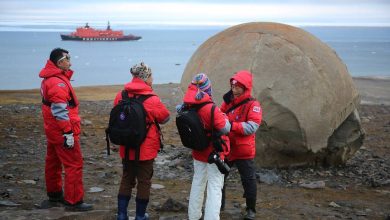 Photo of Рекордное число туристов прибыло