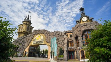 Photo of Московский зоопарк обновляется