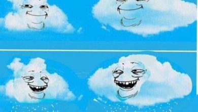 Photo of Что означает фраза «смотри у них»