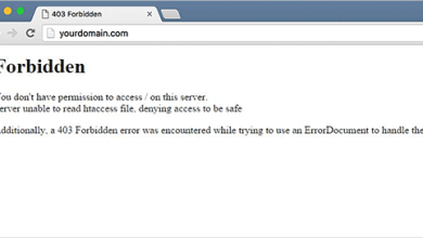 Photo of Причины появления ошибки 403 Access Denied