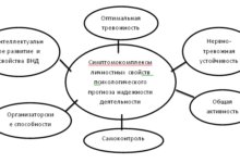 Photo of Надежность и профессионализм в каждом этапе сотрудничества