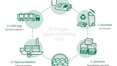 Photo of Экологическое значение переработки макулатуры