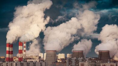 Photo of Влияние пунктов приёма на уменьшение выбросов парниковых газов